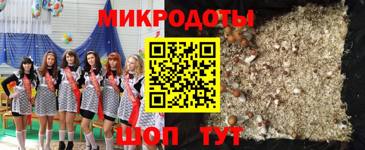 Бошки Шишки Скопин