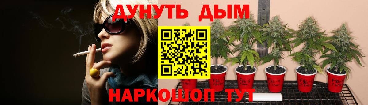 Канабис конопля  МАРИХУАНА марихуана  Скопин  Вход с VPN 
